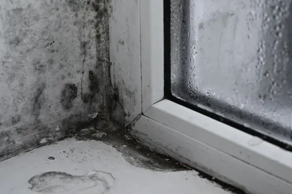 • mould around UPVC window frame UK flat inspection